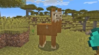 Jak oswoić zwierzęta w Minecraft? Proste zasady i błędy, których unikniesz