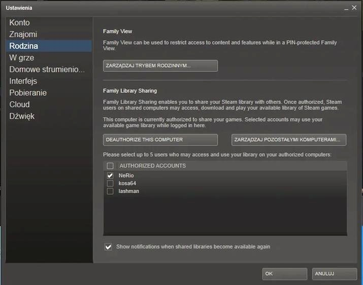 Jak pożyczyć grę na Steam? Zasady udostępniania bez przykrych niespodzianek